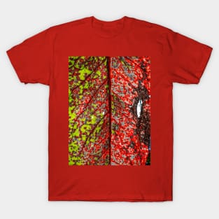 Leaf Colored T-Shirt